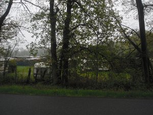Buchholz 2010 058